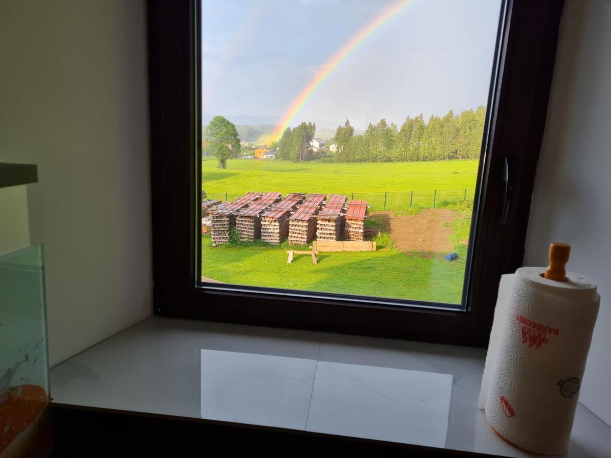 Ferien- Und Businesswohnung Relax Im Ersten Stock Sonnen エクステリア 写真